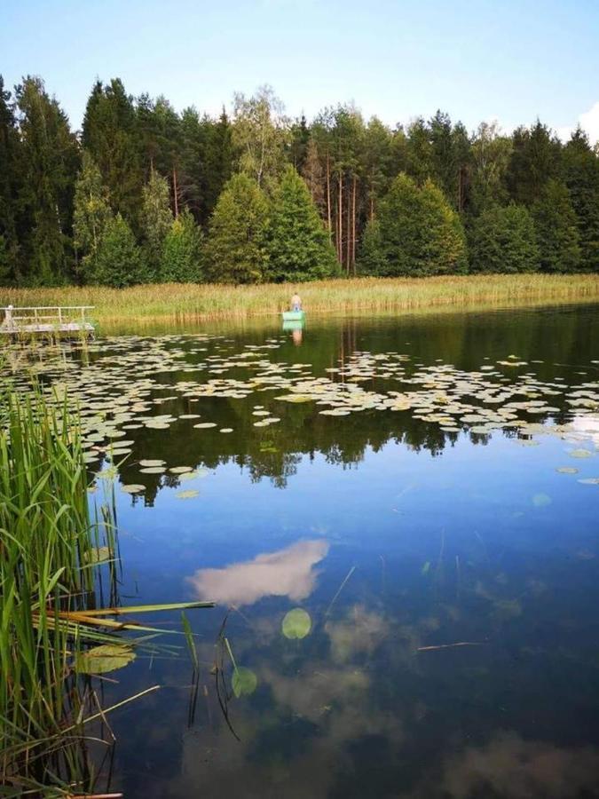 Willa Nijoles Sodyba Aukštadvaris Zewnętrze zdjęcie